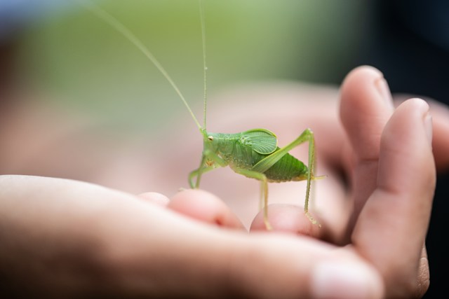 23 mars « La biodiversité, un enjeu pour l’humanité »