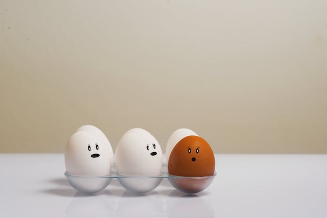 16 nov « Science, racisme et préjugés : pourquoi la notion de race n’a pas de sens »
