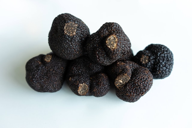 25 sept « La truffe noire du Périgord, une manipulation de génie ! »